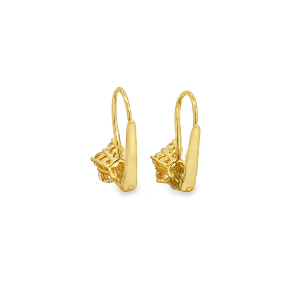0.75 CTW Diamond 14K Yellow Gold Flower Earrings
