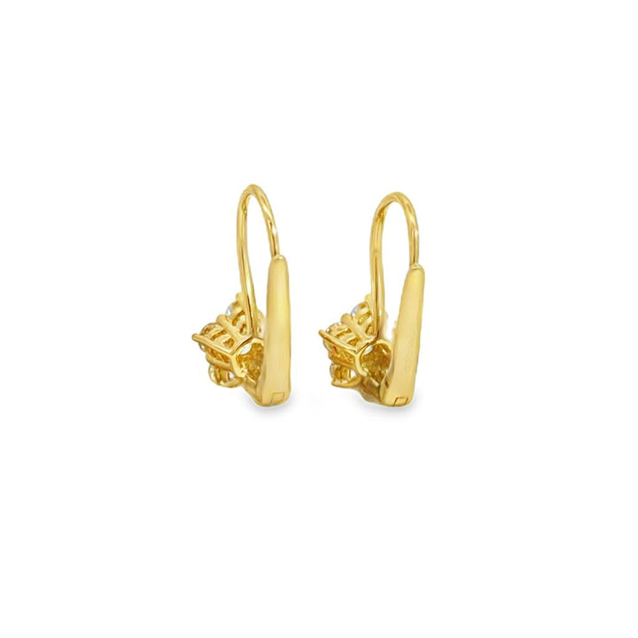 0.75 CTW Diamond 14K Yellow Gold Flower Earrings