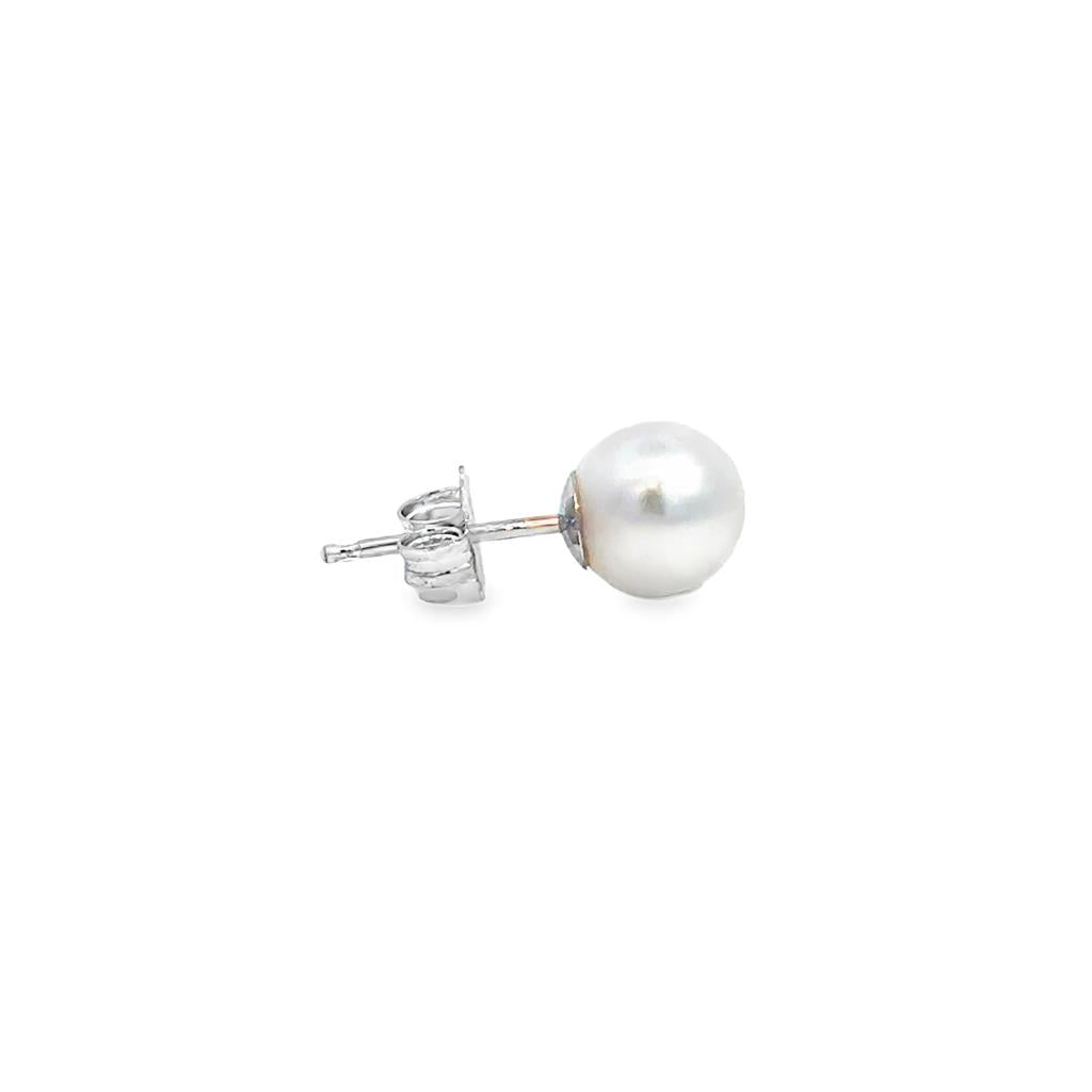6.5mm White Pearl Stud Earrings in 14K White Gold
