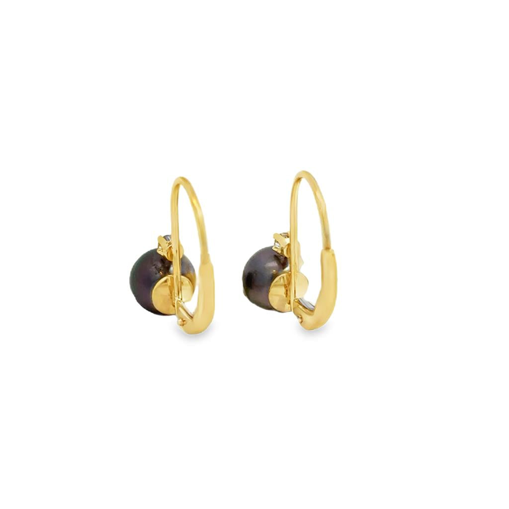 0.04 CTW Diamond 14K Yellow Gold Black Pearl Drop Earrings