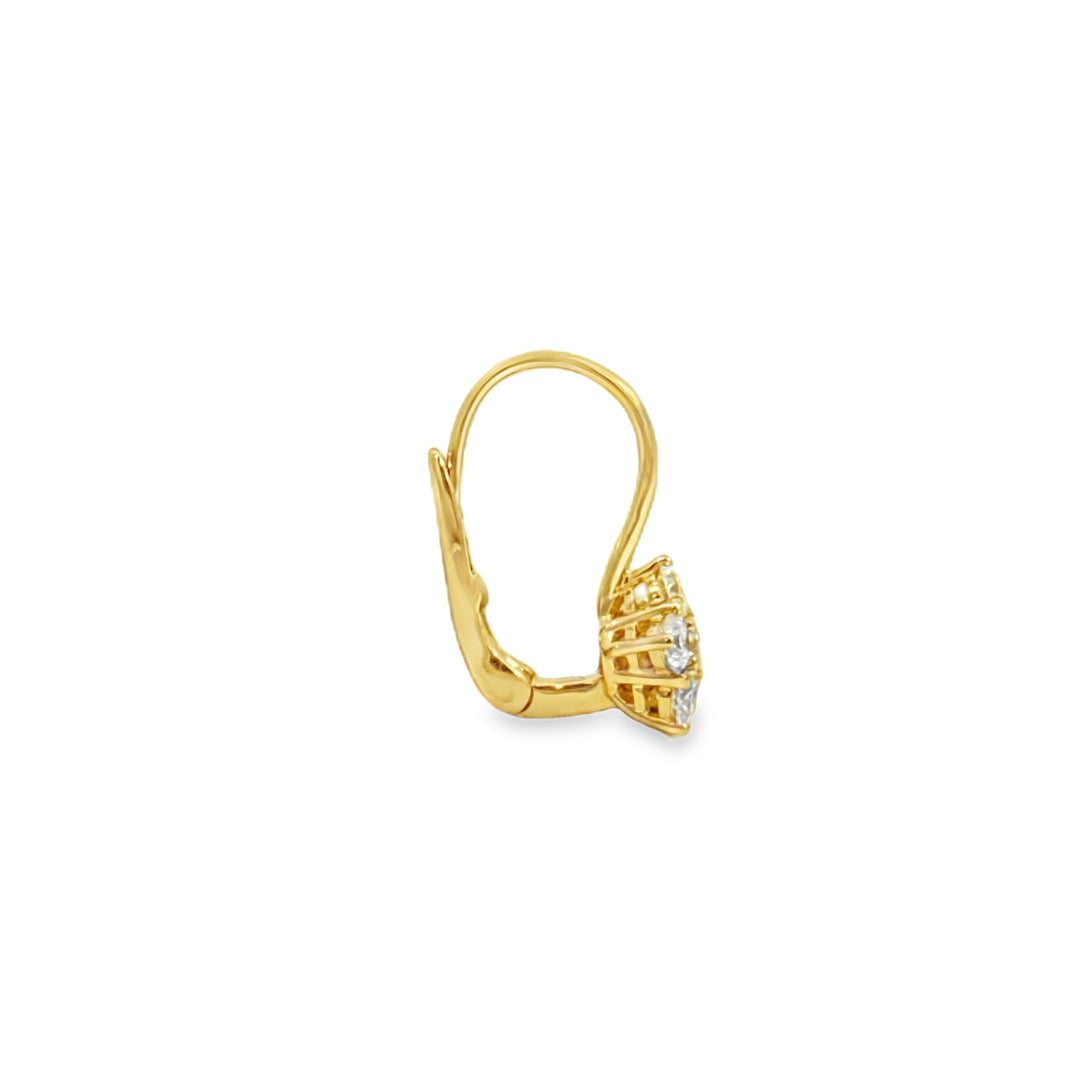 0.75 CTW Diamond 14K Yellow Gold Flower Earrings