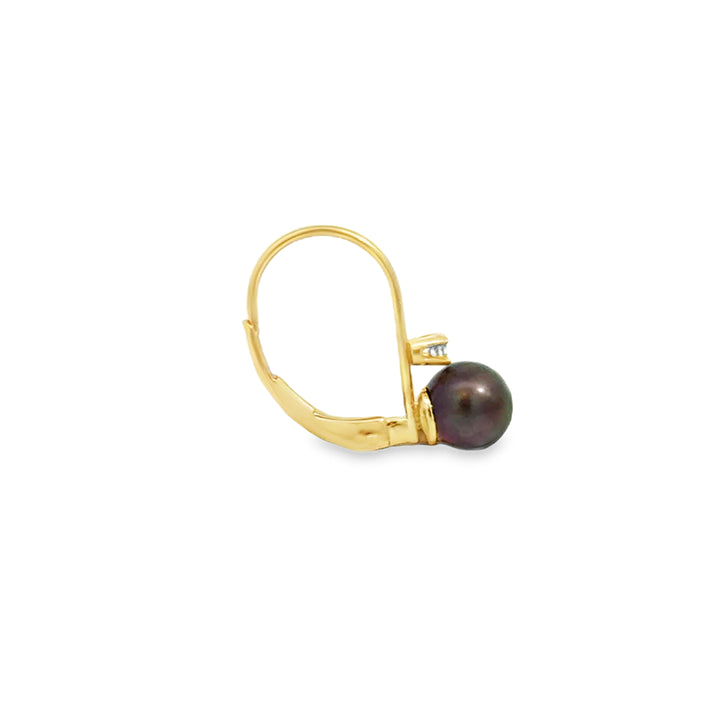 0.04 CTW Diamond 14K Yellow Gold Black Pearl Drop Earrings