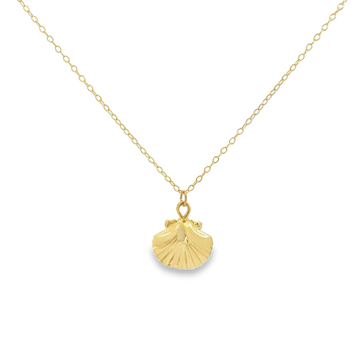 14K Yellow Gold Shell Pendant Necklace