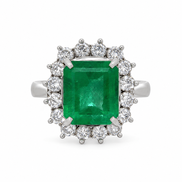 3.13 CT Emerald & 1.01 CTW Diamond Platinum Halo Ring