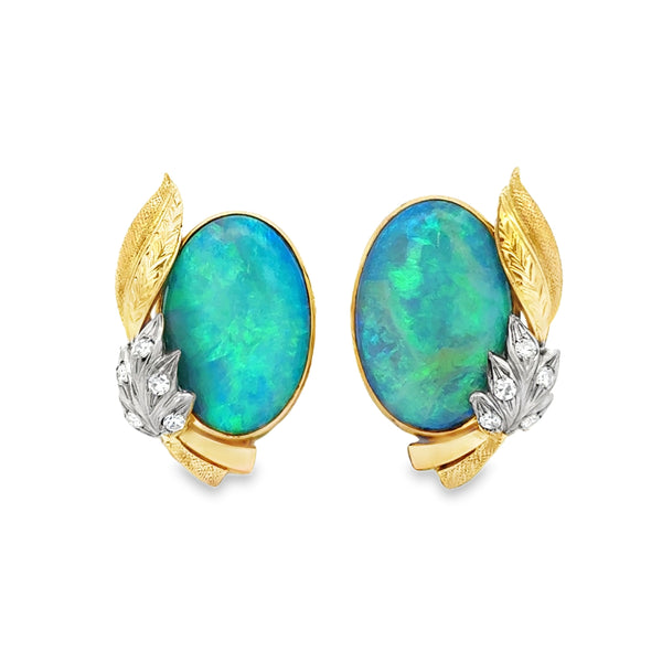 Colored Stone Earring
