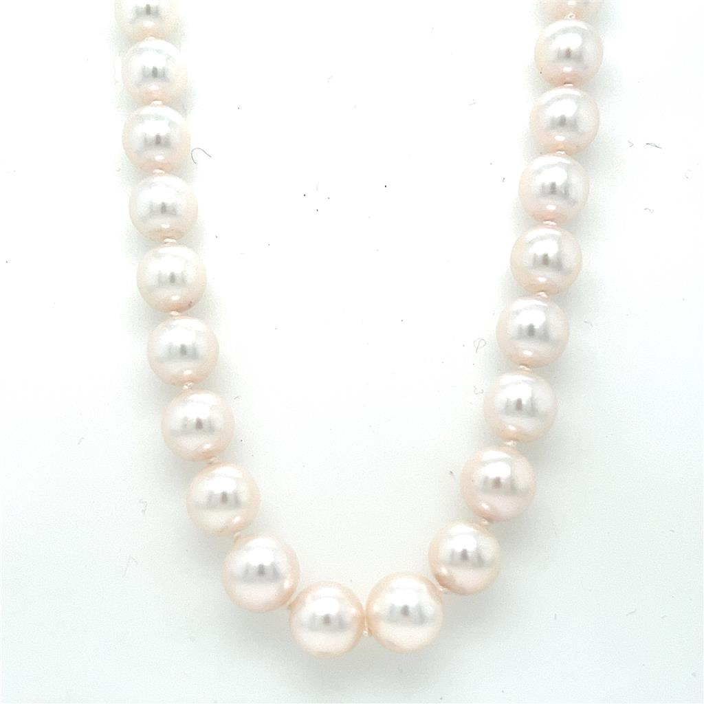 8-8.5mm Strand of White Cultured Pearls with 14KW Gold Clasp - 22" Long