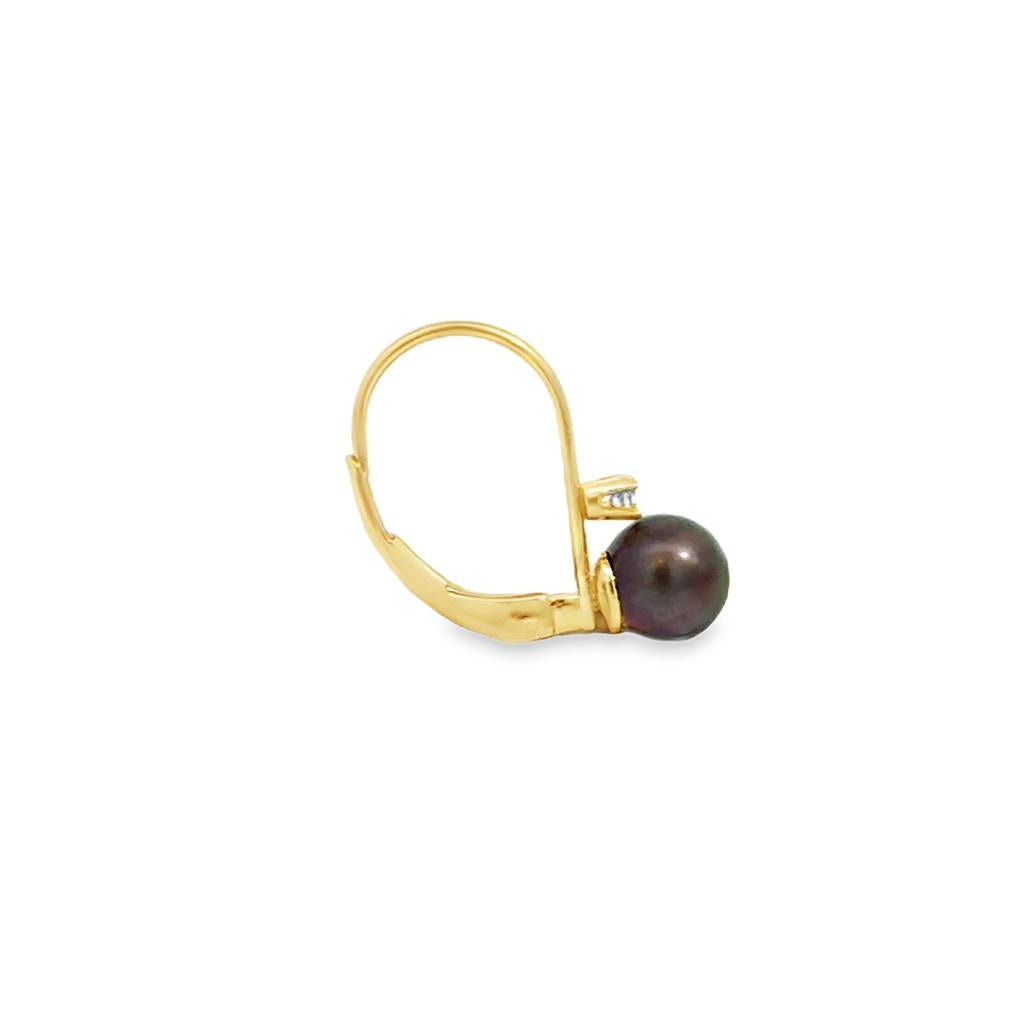 0.04 CTW Diamond 14K Yellow Gold Black Pearl Drop Earrings