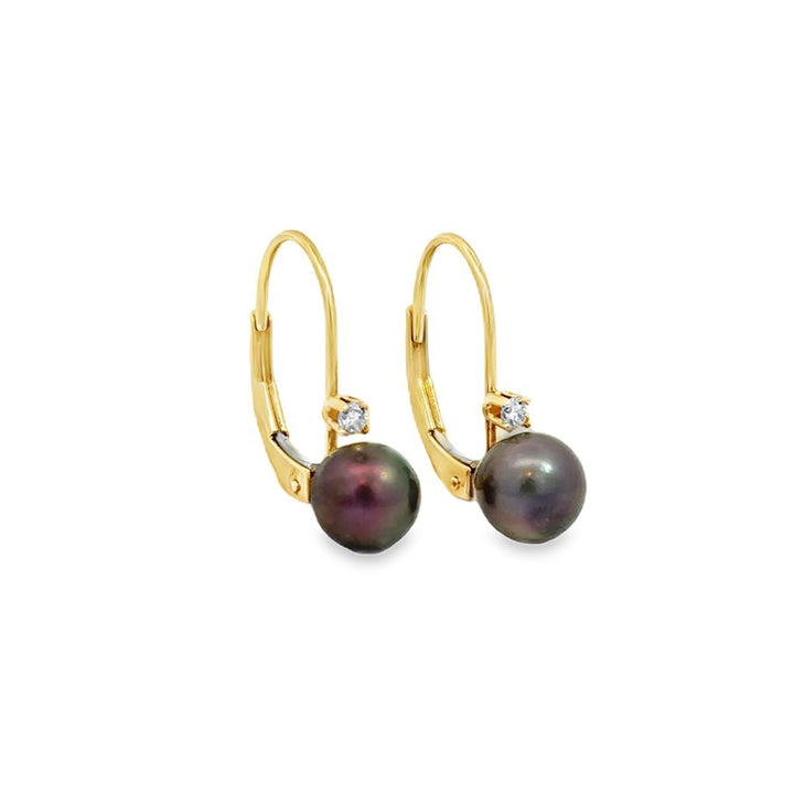 0.04 CTW Diamond 14K Yellow Gold Black Pearl Drop Earrings