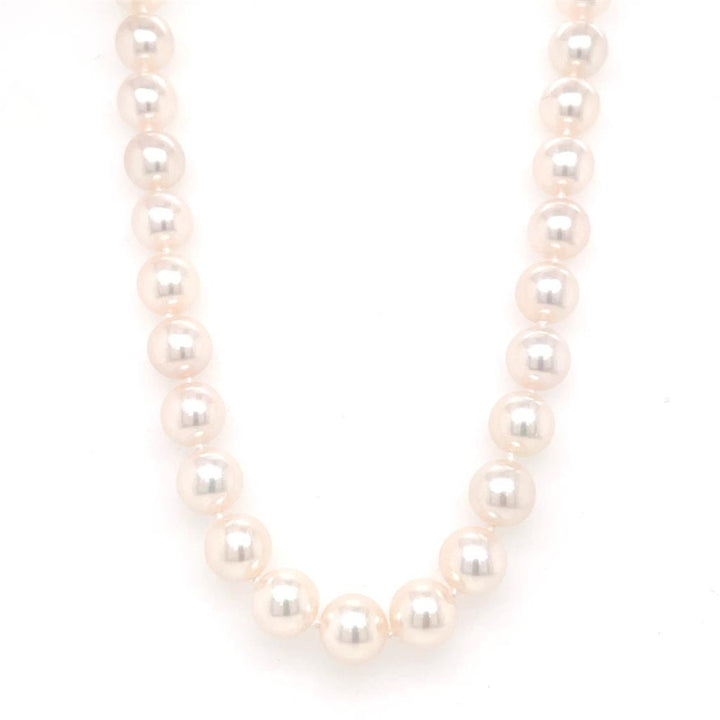 Assael 6.5mm - 7.0mm Japanese Akoya AAA Cultured Pearl Necklace with 18K White Gold Clasp