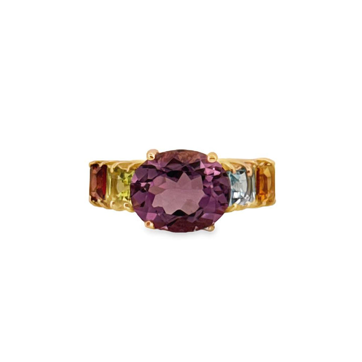 Amethyst & Multi-Gemstone 10K Yellow Gold Ring