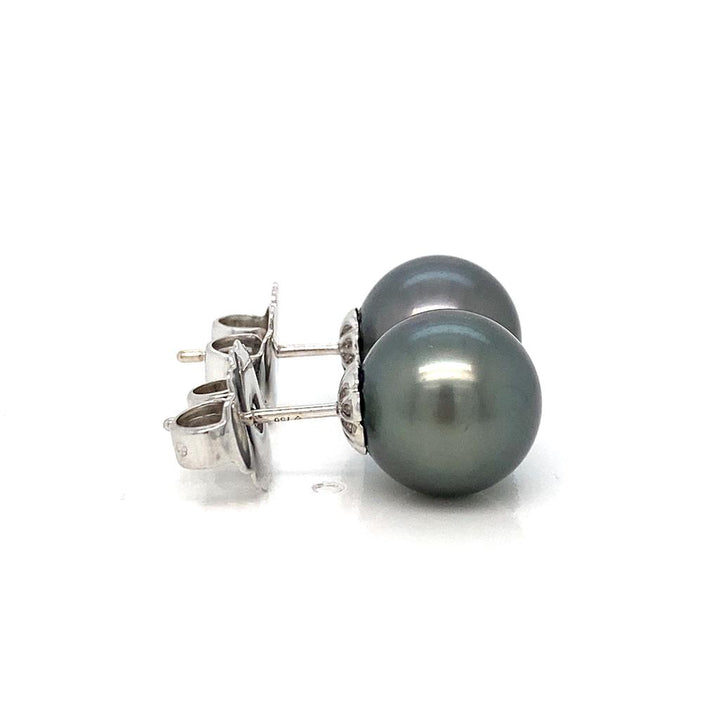 Mikimoto 18K White Gold Black Tahitian Pearl Stud Earrings, 11mm - Design PE51102