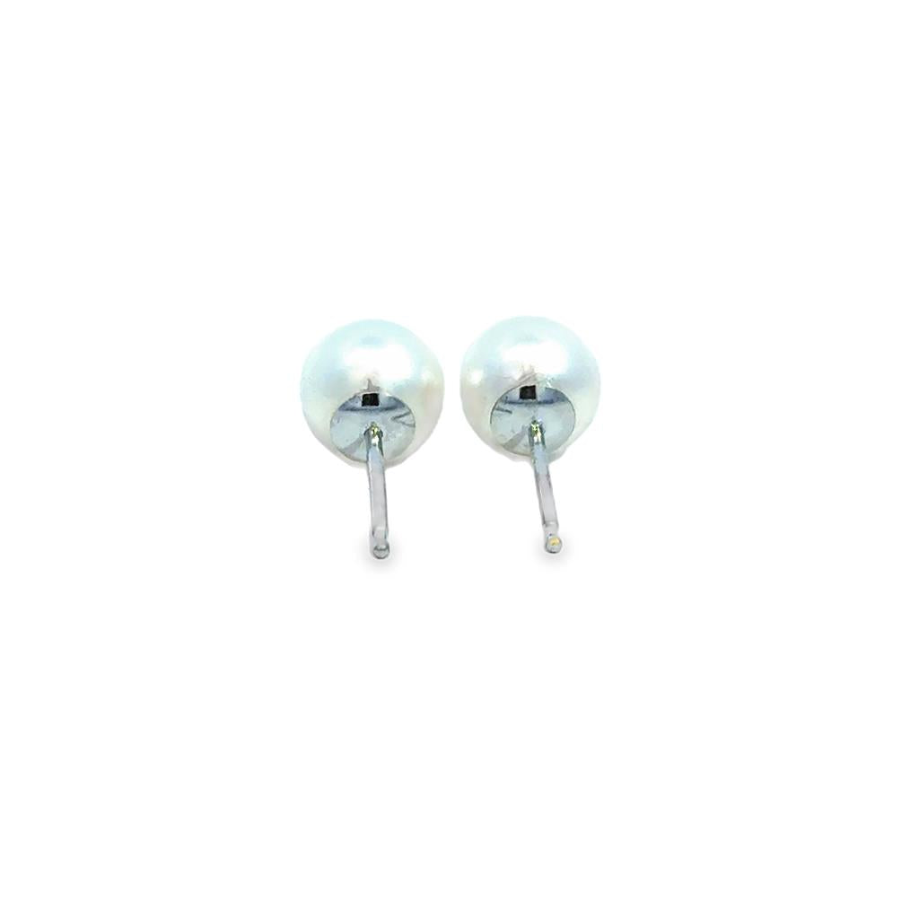 6.5mm White Pearl Stud Earrings in 14K White Gold