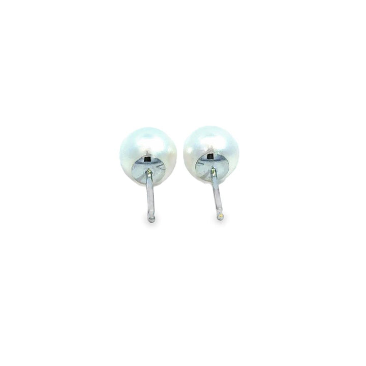 6.5mm White Pearl Stud Earrings in 14K White Gold