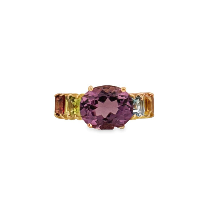 Amethyst & Multi-Gemstone 10K Yellow Gold Ring
