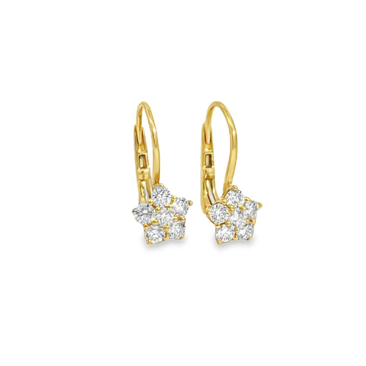 0.75 CTW Diamond 14K Yellow Gold Flower Earrings