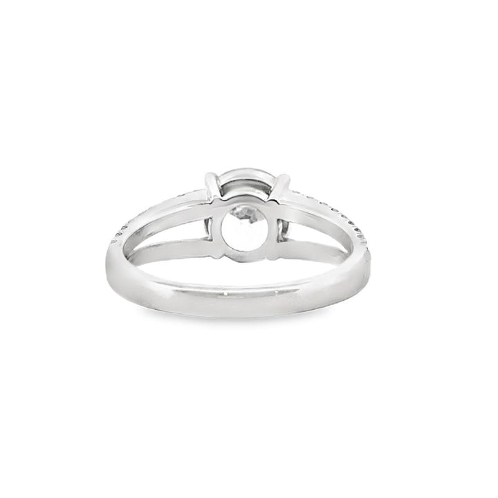 Split Shank Pavé Engagement Semi-Mount Ring in 18K White Gold