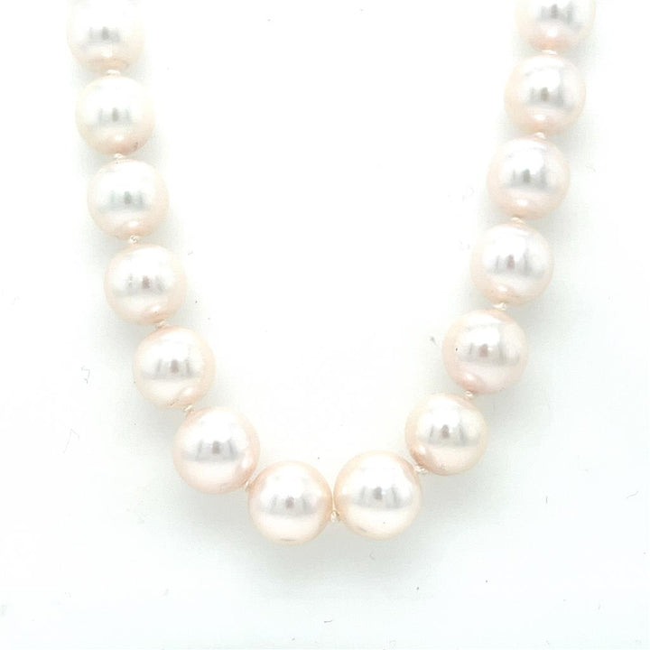 8-8.5mm Strand of White Cultured Pearls with 14KW Gold Clasp - 22" Long