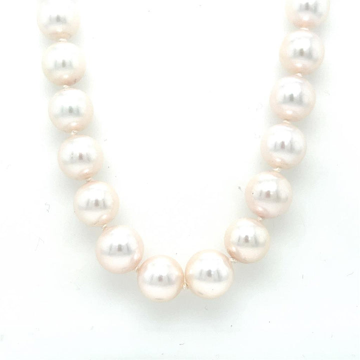8-8.5mm Strand of White Cultured Pearls with 14KW Gold Clasp - 22" Long