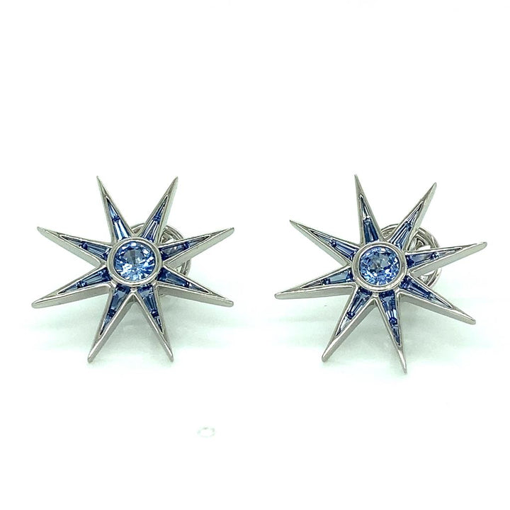 Robert Procop 2.41 CTW Light Blue Sapphire Platinum Starburst Earrings